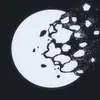 nathanhalford256 - @nathanhalford256 - TikTok