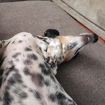 Nathan Halpin - @nathan_halpin_ - Instagram