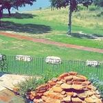 H - @nathan.hamby - Instagram