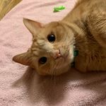 Nathan - @username_nathanhamby - Instagram