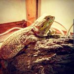 nathan Hampton - @nathanhampton26 - Instagram