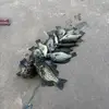 Nathan Hanke - @nathan.hanke - TikTok