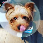 Nathan Harley - @drawingshelpsalot - Instagram