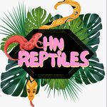 nathan harley - @hnreptiles - Instagram