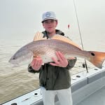 Nathan Harrington - @nathanharrington1234 - Instagram