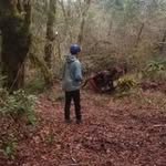Nathan Harris - @nathan.harris21 - Instagram