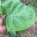 Nathan Hartling - Facebook