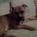 Nathan Hatcher - Facebook