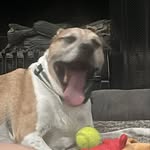 Nathan Hatcher - @nate13010 - Instagram
