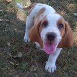 Nathan Hazen - @nathan.hazen.3 - Instagram