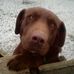 Nathan Headley - Facebook
