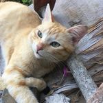 Nathanheadley - @mr.wiskers14 - Instagram