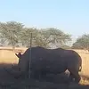 nathanhelm776 - @nathanhelm77 - TikTok