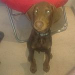 nathan hennessey - @nathan.hennessey - Instagram