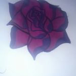 nathanhennessy - @nathanhennessy7024 - Instagram