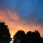 Nathan Herbert - @n24tha29n - Instagram