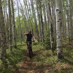 Nathan Herman - @nathanherman45 - Instagram
