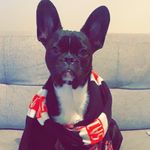 Nathan Herrington - @herrington__ - Instagram