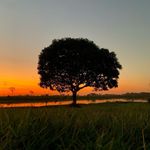 Nathan Hetzel - @netzelphotos - Instagram