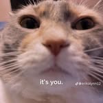 Nathan Hinks - @thatmose - Instagram
