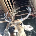 Nathan Hirsch - @nathanhirsch - Instagram