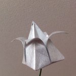 Nathan Hirsch - @ilovetataki - Instagram