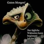 Nathan Hirsch - @hirsch5195 - Instagram