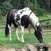 Nathan Holcomb - Facebook