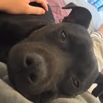 Nathan Holly - @niteowl0108 - Instagram