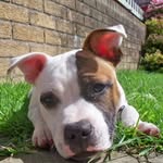 Nathan Holly - @nathanholly0108 - Instagram