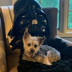 Nathan E. Holton - @neh_ic - Instagram