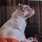 Nathan Hook - @nathanhook - Instagram