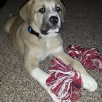 Nathan Householder - Facebook