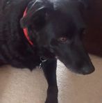 Nathan Hulse - Facebook