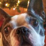 Nathan Inman - @nathan_inman04 - Instagram