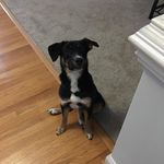 Nathan Irvin - @irvin746 - Instagram