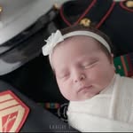 Nathan S. Isbell - @nathanisbell - Instagram