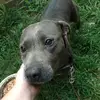 Nathan_ivester19 - @user4975357536184 - TikTok