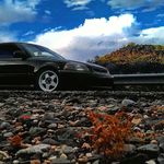 nathan jackman - @holly_poop_its_a_bug - Instagram