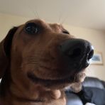 Nathan Jackman - Facebook