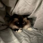 @nathan_janssen - Instagram