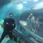 Nate Jaros - Facebook