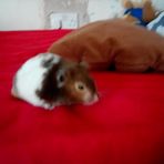 Nathan Jaros - Facebook