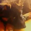 nathanjaros - @gyugvygc - TikTok