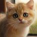 Naths C. Javid - Facebook