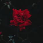 Jefferson Nathan - @jefferson_nathan11 - Instagram