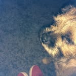 Nathan Johnstone - @12nathan.johnstone12 - Instagram