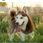 guillaumeBFF,paul,nathan,jules - @my.little.hack - Instagram