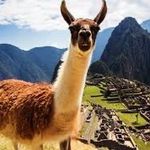 Nathan, Jules, Léa y Lévana - @viajes_americalatina - Instagram