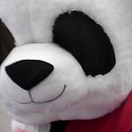 Nathan Julian - @iz_natedog - Instagram